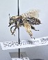  ( - WRME_WMA15652)  @11 [ ] by (2025) Jason Gibbs University of Manitoba