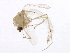  ( - BIOUG01655-D01)  @13 [ ] CreativeCommons - Attribution (2012) CBG Photography Group Centre for Biodiversity Genomics