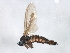  ( - BIOUG01659-F10)  @12 [ ] CreativeCommons - Attribution (2012) CBG Photography Group Centre for Biodiversity Genomics
