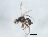 ( - BIOUG01660-D08)  @13 [ ] CreativeCommons - Attribution (2012) CBG Photography Group Centre for Biodiversity Genomics