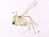  ( - BIOUG01756-E11)  @13 [ ] CreativeCommons - Attribution (2012) CBG Photography Group Centre for Biodiversity Genomics