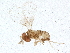  ( - BIOUG01668-E05)  @13 [ ] CreativeCommons - Attribution (2012) CBG Photography Group Centre for Biodiversity Genomics