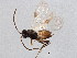  ( - BIOUG01665-H10)  @13 [ ] CreativeCommons - Attribution (2012) CBG Photography Group Centre for Biodiversity Genomics