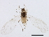  ( - BIOUG01770-D12)  @14 [ ] CreativeCommons - Attribution (2012) CBG Photography Group Centre for Biodiversity Genomics
