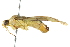  ( - BIOUG01807-C08)  @14 [ ] CreativeCommons - Attribution (2012) CBG Photography Group Centre for Biodiversity Genomics