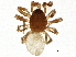  ( - BIOUG01654-A09)  @14 [ ] CreativeCommons - Attribution (2012) CBG Photography Group Centre for Biodiversity Genomics