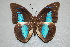 ( - AIV 020)  @14 [ ] Unspecified (default): All Rights Reserved  Unspecified Unspecified