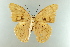  (Archaeoprepona amphimachus - AIV 007)  @13 [ ] Unspecified (default): All Rights Reserved  Unspecified Unspecified