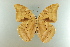  ( - AIV 008)  @14 [ ] Unspecified (default): All Rights Reserved  Unspecified Unspecified