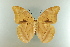  ( - AIV 009)  @14 [ ] Unspecified (default): All Rights Reserved  Unspecified Unspecified
