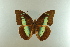  ( - AIV 011)  @11 [ ] Unspecified (default): All Rights Reserved  Unspecified Unspecified