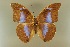  ( - AIV 012)  @11 [ ] Unspecified (default): All Rights Reserved  Unspecified Unspecified