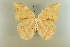  ( - AIV 012)  @11 [ ] Unspecified (default): All Rights Reserved  Unspecified Unspecified