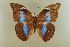  ( - AIV 013)  @14 [ ] Unspecified (default): All Rights Reserved  Unspecified Unspecified