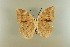  ( - AIV 014)  @14 [ ] Unspecified (default): All Rights Reserved  Unspecified Unspecified