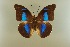  ( - AIV 015)  @14 [ ] Unspecified (default): All Rights Reserved  Unspecified Unspecified