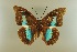  ( - AIV 017)  @14 [ ] Unspecified (default): All Rights Reserved  Unspecified Unspecified