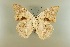  ( - AIV 017)  @14 [ ] Unspecified (default): All Rights Reserved  Unspecified Unspecified