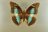  ( - AIV 018)  @11 [ ] Unspecified (default): All Rights Reserved  Unspecified Unspecified