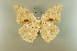  ( - AIV 018)  @11 [ ] Unspecified (default): All Rights Reserved  Unspecified Unspecified