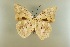  ( - AIV 020)  @14 [ ] Unspecified (default): All Rights Reserved  Unspecified Unspecified