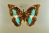  ( - AIV 021)  @14 [ ] Unspecified (default): All Rights Reserved  Unspecified Unspecified