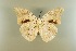  ( - AIV 021)  @14 [ ] Unspecified (default): All Rights Reserved  Unspecified Unspecified