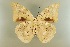  ( - AIV 023)  @14 [ ] Unspecified (default): All Rights Reserved  Unspecified Unspecified
