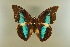  ( - AIV 024)  @13 [ ] Unspecified (default): All Rights Reserved  Unspecified Unspecified