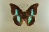  ( - AIV 025)  @14 [ ] Unspecified (default): All Rights Reserved  Unspecified Unspecified