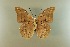  ( - AIV 025)  @13 [ ] Unspecified (default): All Rights Reserved  Unspecified Unspecified