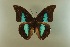  ( - AIV 026)  @13 [ ] Unspecified (default): All Rights Reserved  Unspecified Unspecified
