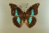  ( - AIV 027)  @14 [ ] Unspecified (default): All Rights Reserved  Unspecified Unspecified