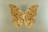  ( - AIV 027)  @13 [ ] Unspecified (default): All Rights Reserved  Unspecified Unspecified