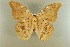  ( - AIV 028)  @13 [ ] Unspecified (default): All Rights Reserved  Unspecified Unspecified