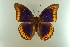  ( - AIV 044)  @14 [ ] Unspecified (default): All Rights Reserved  Unspecified Unspecified