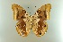  ( - AIV 044)  @12 [ ] Unspecified (default): All Rights Reserved  Unspecified Unspecified