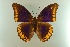  ( - AIV 045)  @14 [ ] Unspecified (default): All Rights Reserved  Unspecified Unspecified
