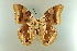  ( - AIV 045)  @12 [ ] Unspecified (default): All Rights Reserved  Unspecified Unspecified