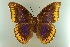  ( - AIV 046)  @14 [ ] Unspecified (default): All Rights Reserved  Unspecified Unspecified