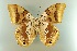  ( - AIV 047)  @12 [ ] Unspecified (default): All Rights Reserved  Unspecified Unspecified