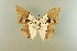  ( - AIV 055)  @13 [ ] Unspecified (default): All Rights Reserved  Unspecified Unspecified