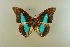  ( - AIV 056)  @13 [ ] Unspecified (default): All Rights Reserved  Unspecified Unspecified