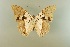 ( - AIV 056)  @13 [ ] Unspecified (default): All Rights Reserved  Unspecified Unspecified