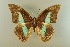  ( - AIV 057)  @11 [ ] Unspecified (default): All Rights Reserved  Unspecified Unspecified