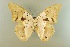  ( - AIV 057)  @11 [ ] Unspecified (default): All Rights Reserved  Unspecified Unspecified