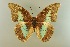  ( - AIV 058)  @14 [ ] Unspecified (default): All Rights Reserved  Unspecified Unspecified