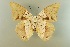  ( - AIV 058)  @13 [ ] Unspecified (default): All Rights Reserved  Unspecified Unspecified