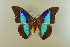  ( - AIV 059)  @11 [ ] Unspecified (default): All Rights Reserved  Unspecified Unspecified