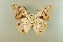  ( - AIV 059)  @11 [ ] Unspecified (default): All Rights Reserved  Unspecified Unspecified